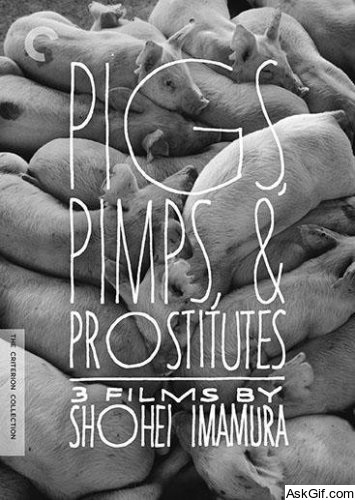 Pigs and Battleships