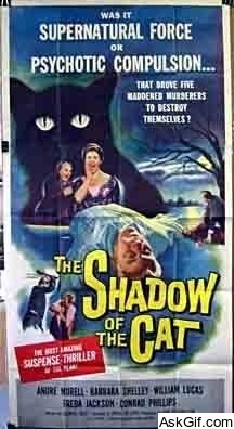 The Shadow of the Cat
