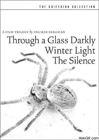 Through a Glass Darkly