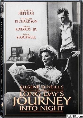 Long Day's Journey Into Night