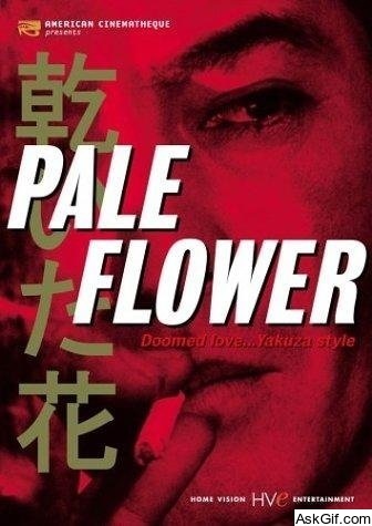Pale Flower