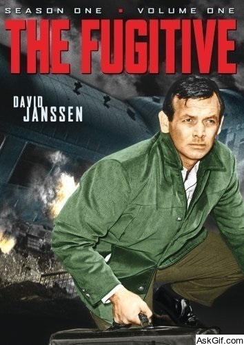 The Fugitive