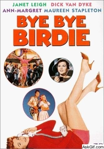 Bye Bye Birdie