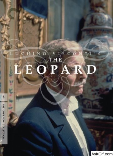 The Leopard