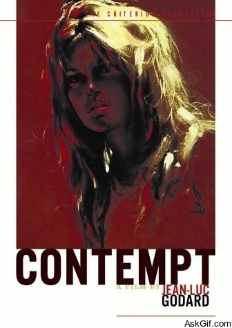 Contempt