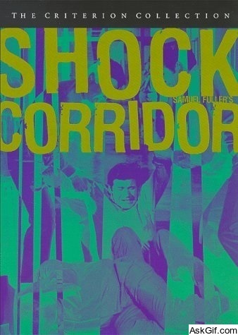 Shock Corridor