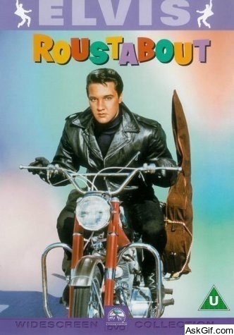 Roustabout