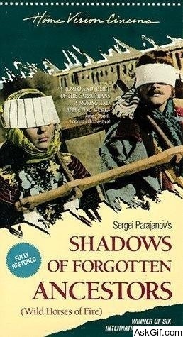 Shadows of Forgotten Ancestors