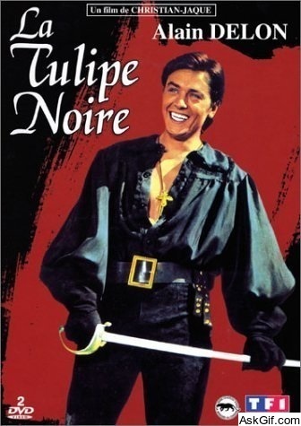 The Black Tulip