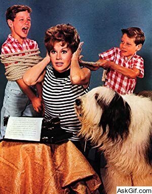 Please Don't Eat the Daisies