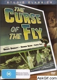 Curse of the Fly