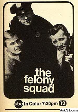 The Felony Squad