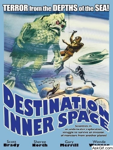 Destination Inner Space