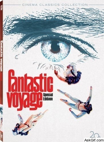 Fantastic Voyage