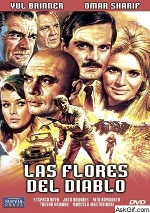 The Poppy Is Also a Flower