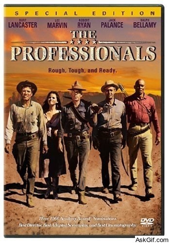 The Professionals