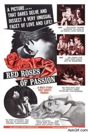 Red Roses of Passion