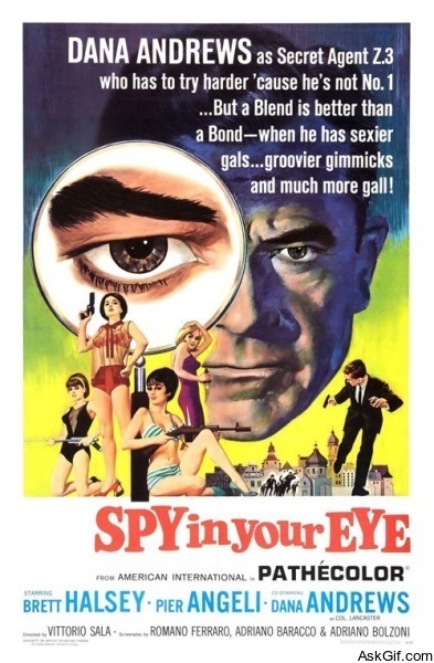 Spy in Your Eye