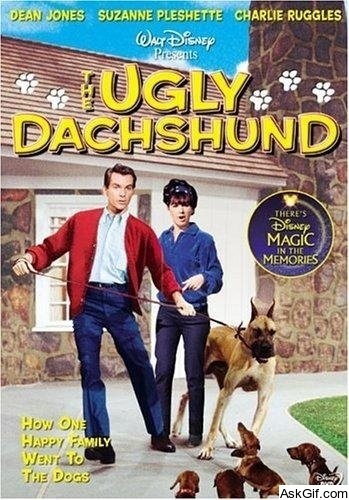 The Ugly Dachshund