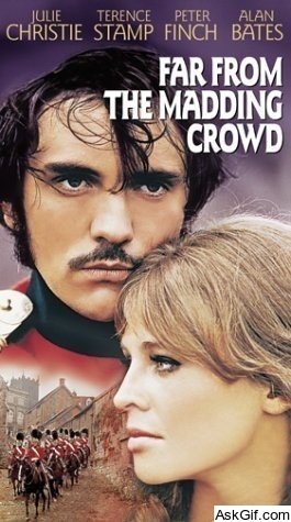 Far from the Madding Crowd