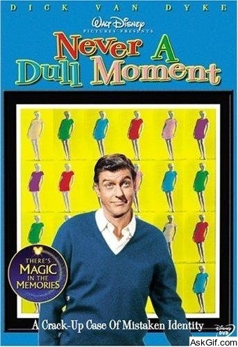 Never a Dull Moment