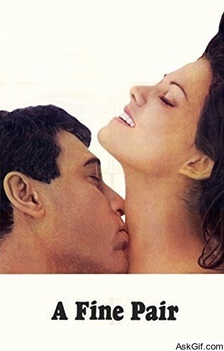 A Fine Pair