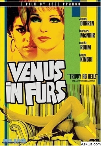 Venus in Furs