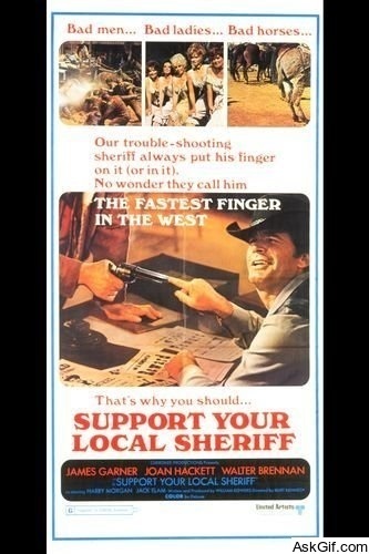 Support Your Local Sheriff!