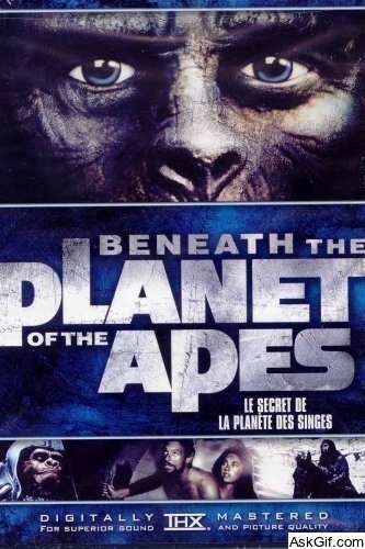 Beneath the Planet of the Apes