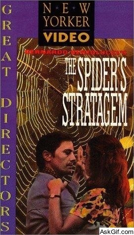 The Spider's Stratagem