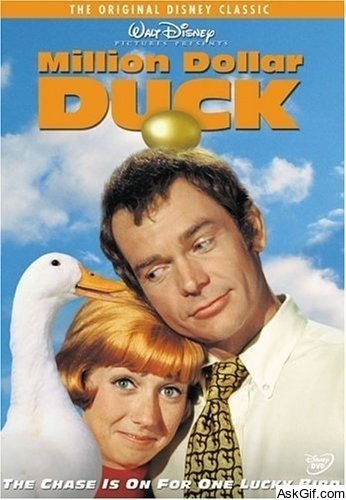 The Million Dollar Duck