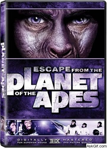 Escape from the Planet of the Apes
