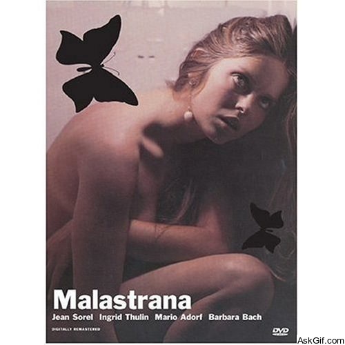 Short Night of Glass Dolls