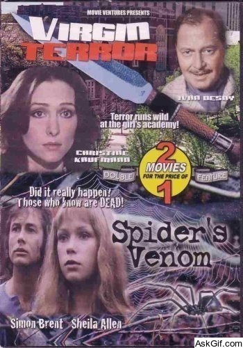 The Legend of Spider Forest