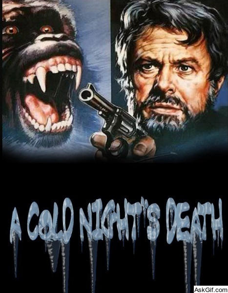 A Cold Night's Death