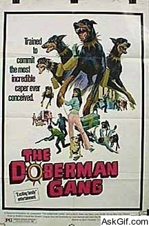The Doberman Gang
