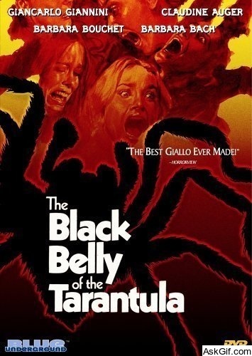 Black Belly of the Tarantula