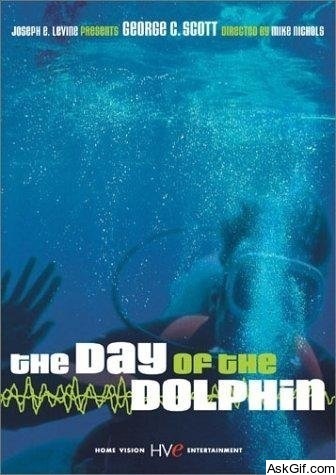 The Day of the Dolphin