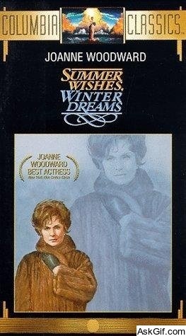 Summer Wishes, Winter Dreams