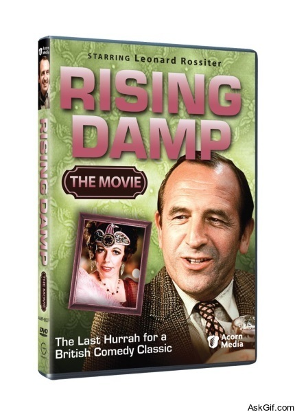 Rising Damp