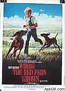 Where the Red Fern Grows