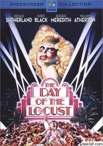 The Day of the Locust