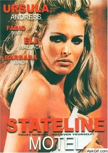 Stateline Motel