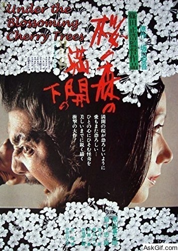 Under the Blossoming Cherry Trees