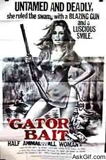'Gator Bait