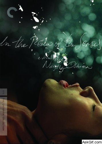 In the Realm of the Senses