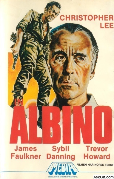 The Night of the Askari