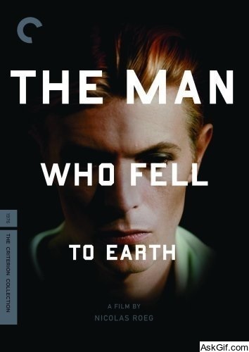 The Man Who Fell to Earth