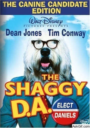 The Shaggy D.A.