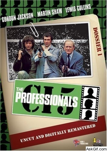 The Professionals